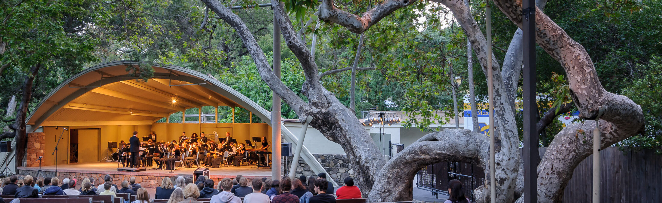 Concert in 2010 at the Libbey Park Bowl with Sycamore Tree in the foreground.