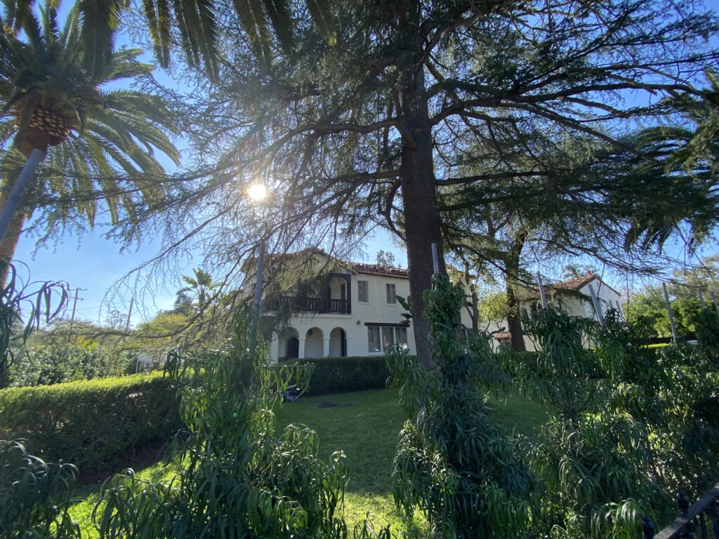 A view of a property showing a house surrounded by hedges, palm trees, and other mature trees on a sunny day.