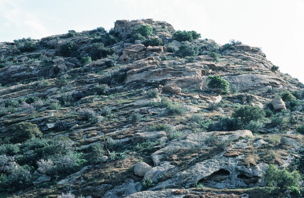 Rocky hillside with vegetation at Oakbrook County Park, 1989.