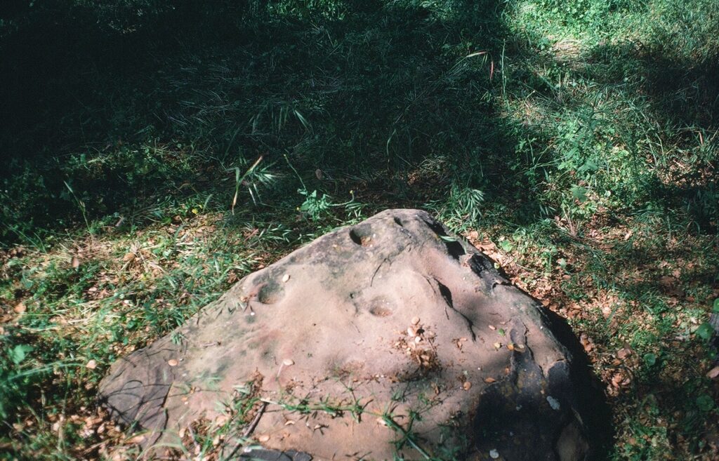 Dried streambed with bedrock in Oakbrook County Park, 1989.
